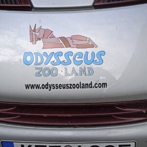 287610174_10226945476573157_1226400463057054050_n